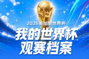 「世界杯观赛档案」世界杯结束了,但你熬过的每一个夜,都有记录