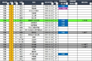 河南队、大连英博、深圳新鹏城2026中超联赛报名名单(夏窗后)
