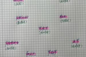 世界杯比赛直播_世界杯免费实时高清直播_世界杯视频在线观看无插件