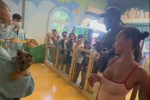 美加墨世界杯直播_美加墨世界杯直播免费观看_美加墨世界杯直播在线观看