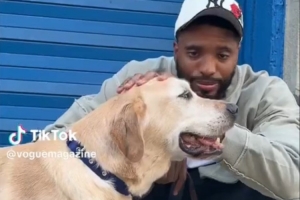 纽约市的王子!大桥牵自己的宠物犬逛街 小狗桑尼表情愉悦