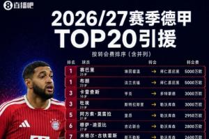 德甲夏窗TOP20:赛巴里、布朗5000万欧成标王 多特签两位希腊国脚